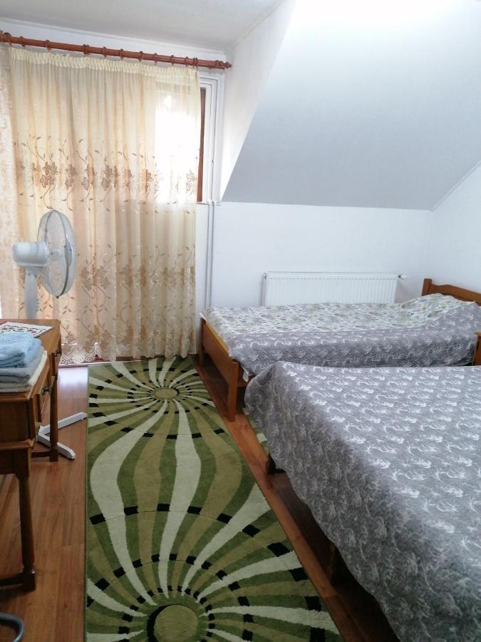 Séjour à la campagne Casa Tinu Cenad