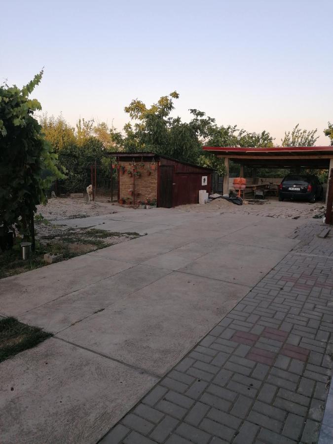 Casa Tinu * Cenad