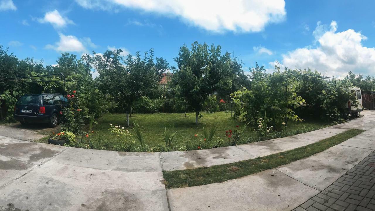 Séjour à la campagne Casa Tinu Cenad